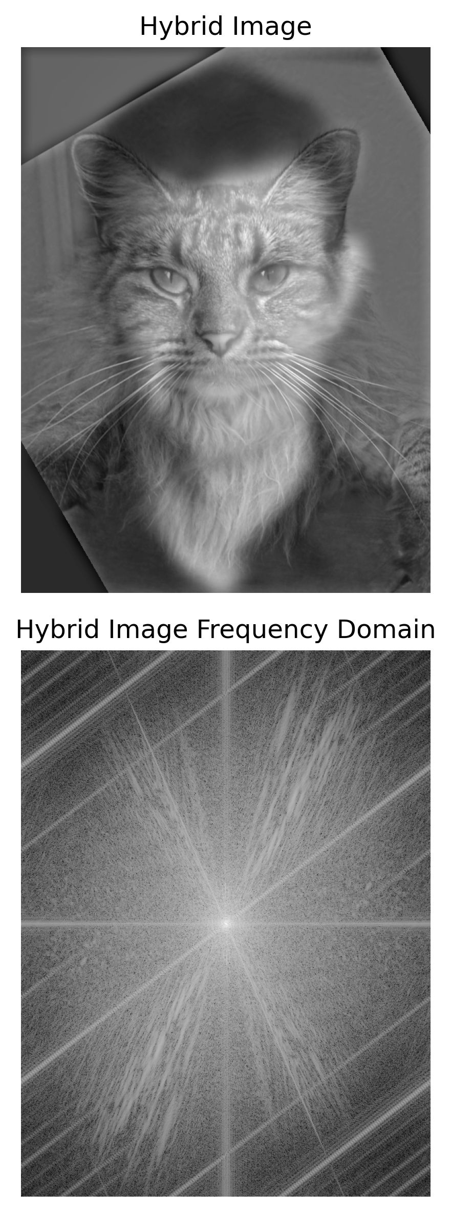 Hybrid Image 3