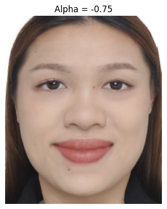 Hybrid Image 2