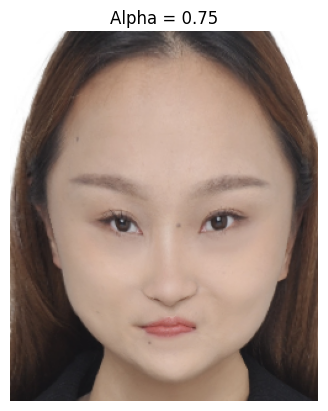 Hybrid Image 3
